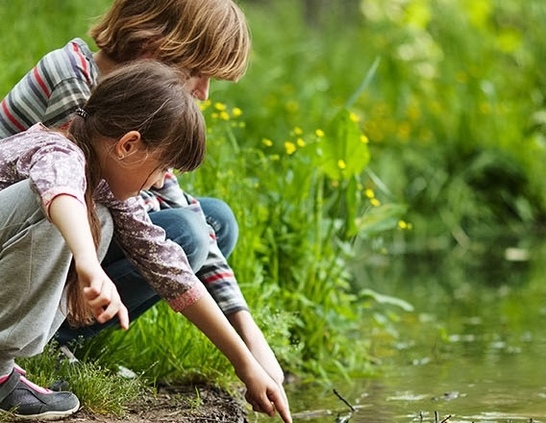 Boy and girl near the water looking at insects